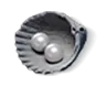 60 Echo Beads