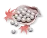 1800 Echo Beads