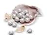 900 Echo Beads
