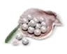 600 Echo Beads